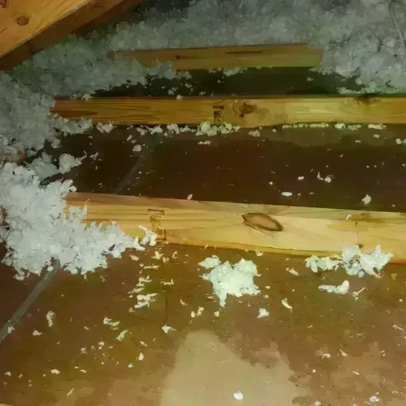 Attic Water Damage in Lititz, PA